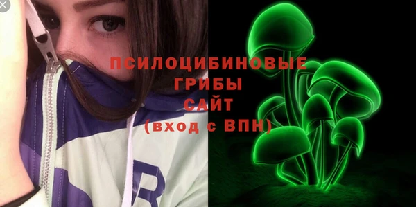ПСИЛОЦИБИНОВЫЕ ГРИБЫ Абаза