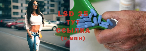 ПСИЛОЦИБИНОВЫЕ ГРИБЫ Абаза