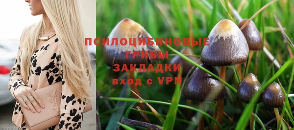 a pvp Гусев