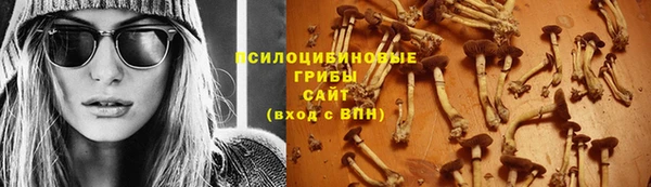 ПСИЛОЦИБИНОВЫЕ ГРИБЫ Абаза